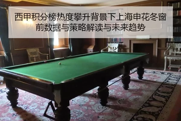 西甲积分榜热度攀升背景下上海申花冬窗前数据与策略解读与未来趋势
